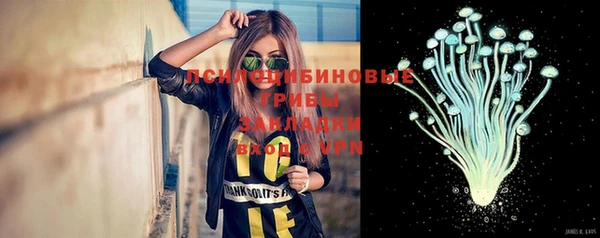 сатива Аркадак