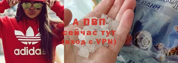 бошки Арсеньев