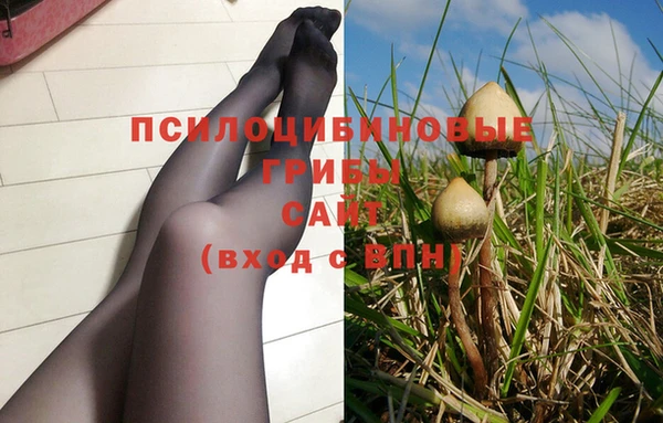 a pvp Армянск