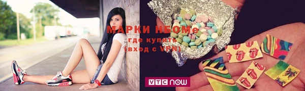 сатива Аркадак