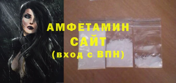 сатива Аркадак