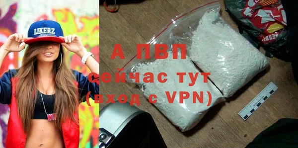 сатива Аркадак
