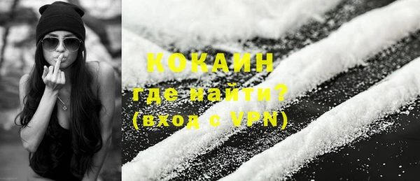 сатива Аркадак